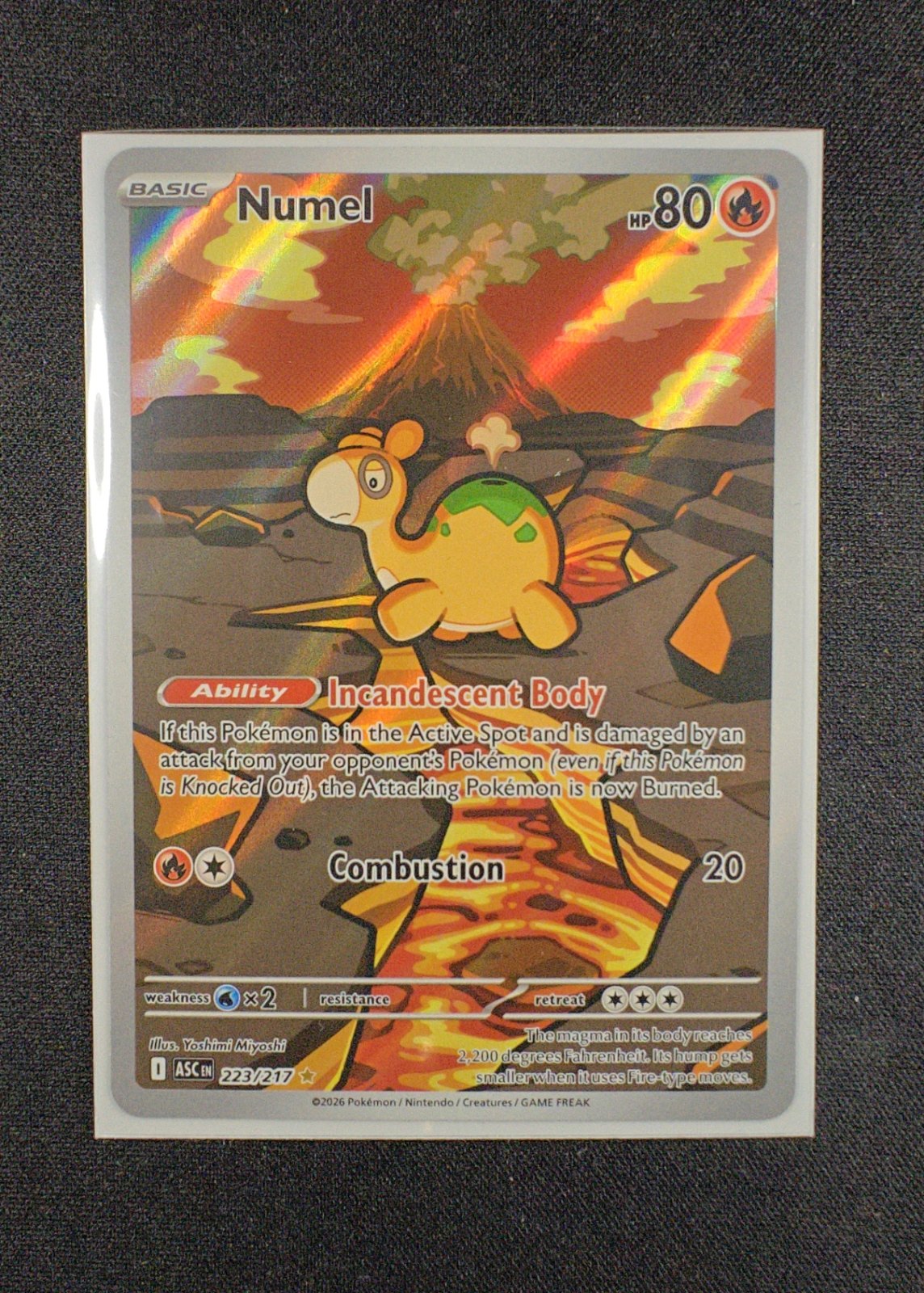 Numel