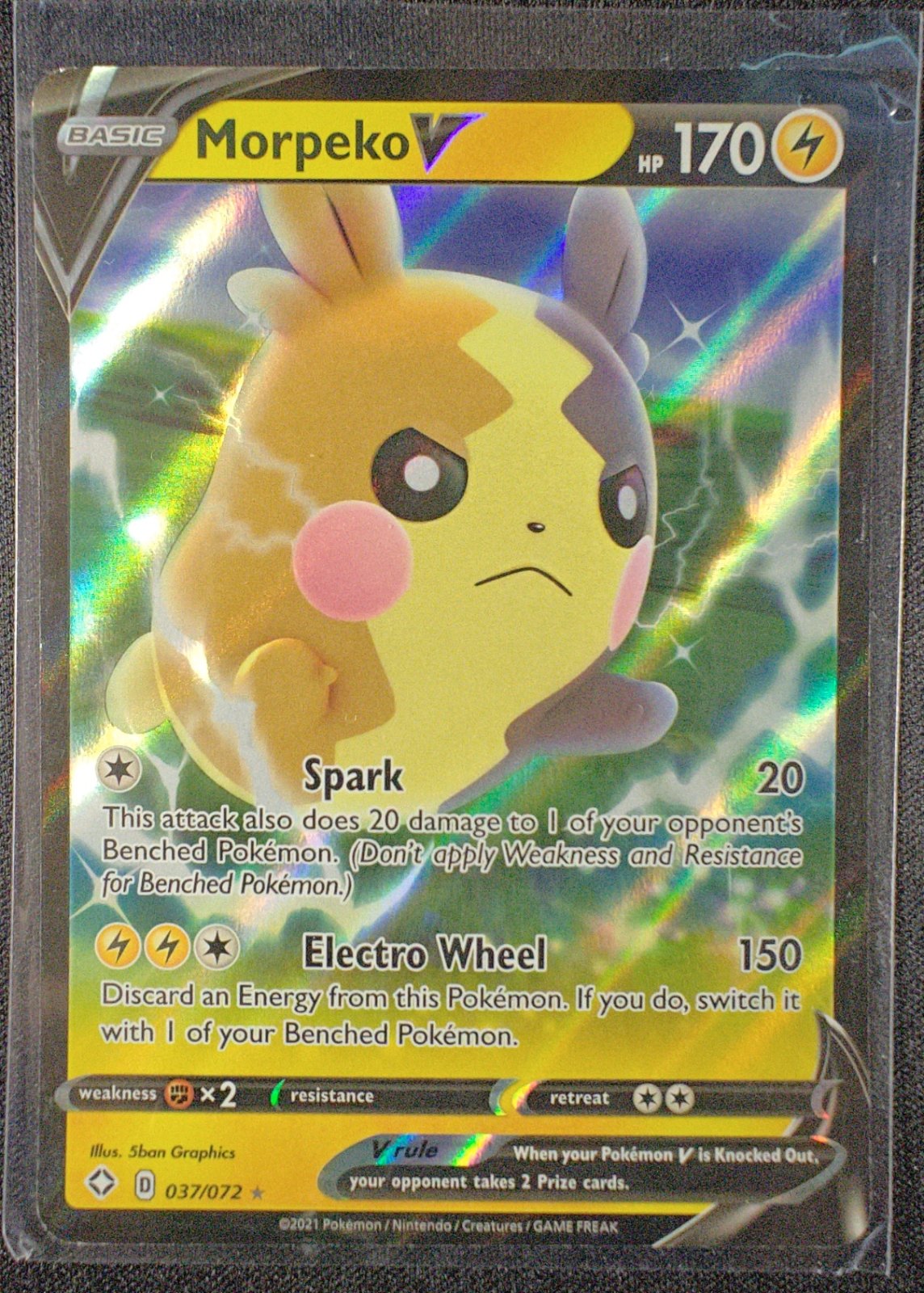 Morpeko V