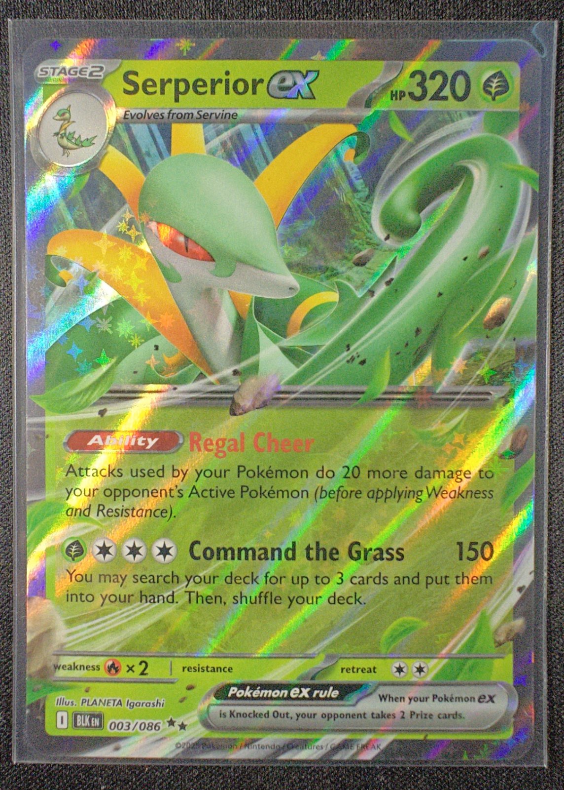 Serperior ex