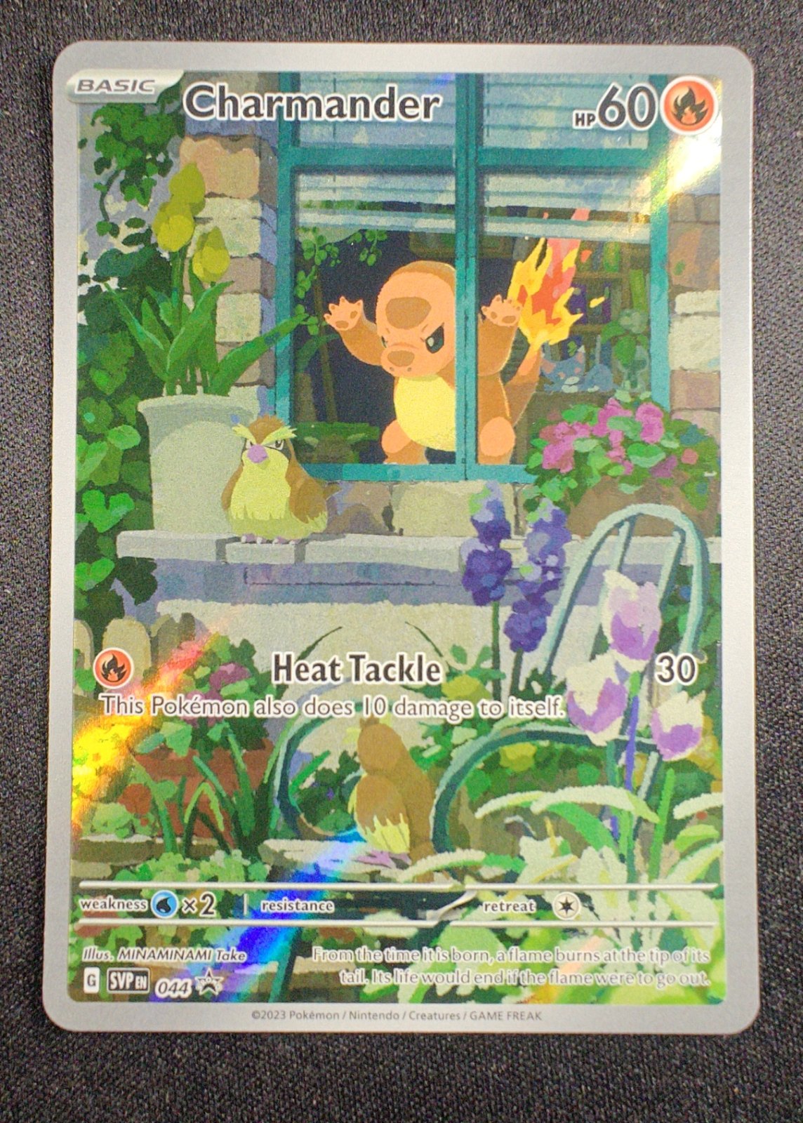 Charmander SVP
