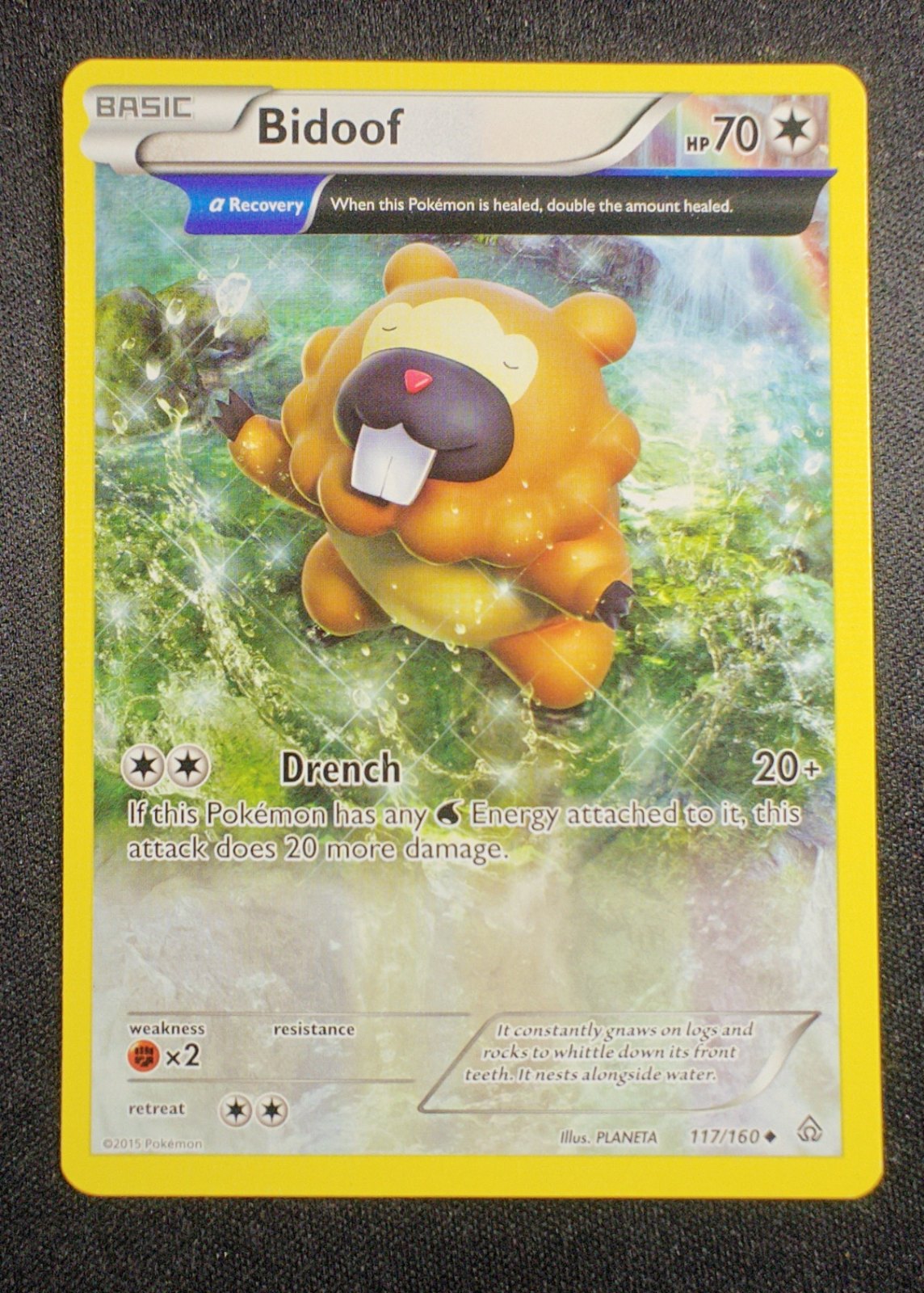 Bidoof